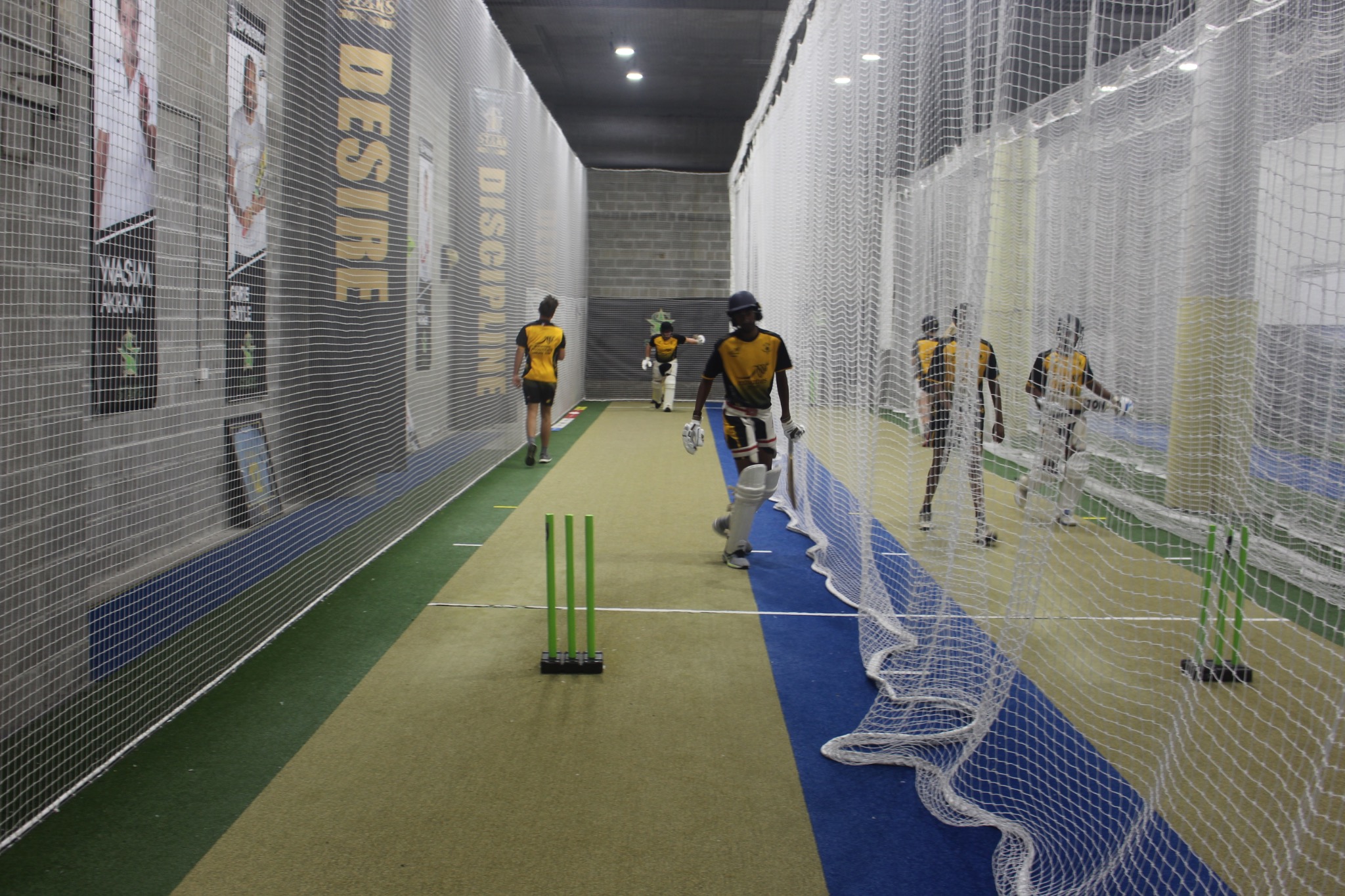 Stars Cricket Academy indoor training